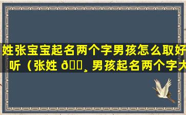 姓张宝宝起名两个字男孩怎么取好听（张姓 🕸 男孩起名两个字大全 🐳 2020最新版）